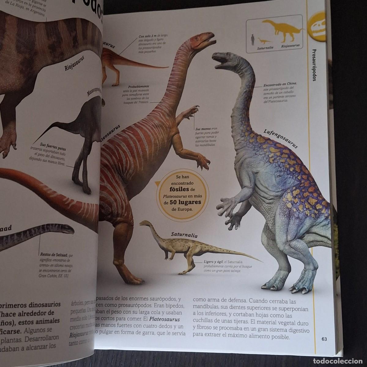 Libros: EL LIBRO DE LOS DINOSAURIOS - DINO DINOS - DK - A&Ntilde;O 2022 - Foto 7