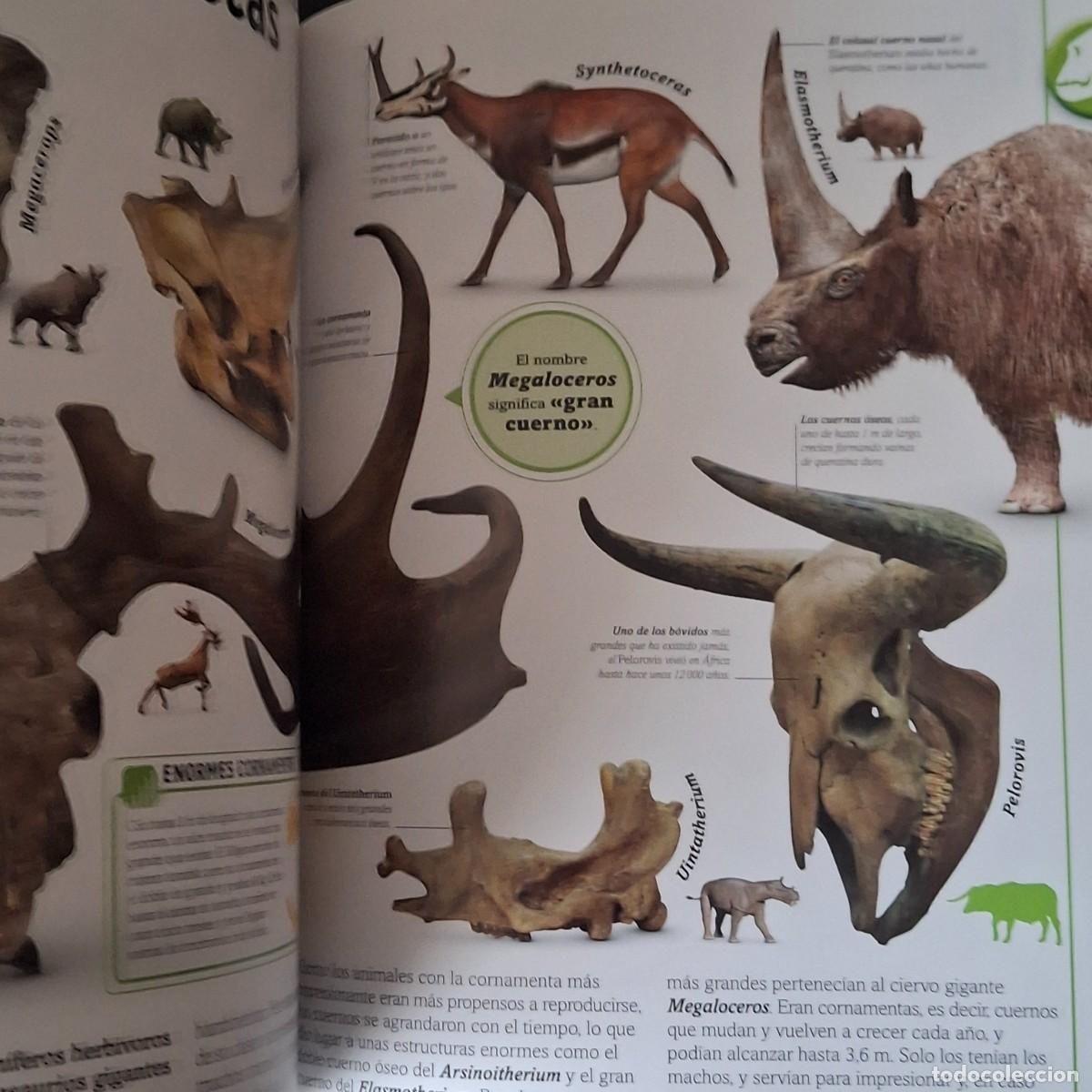 Libros: EL LIBRO DE LOS DINOSAURIOS - DINO DINOS - DK - A&Ntilde;O 2022 - Foto 8