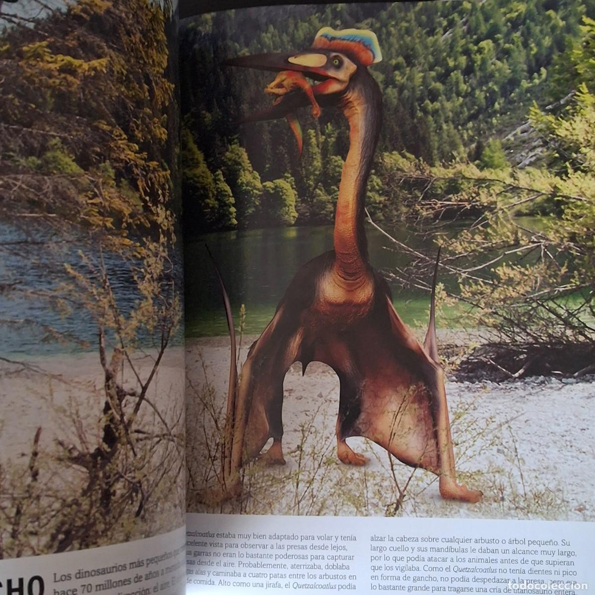 Libros: EL LIBRO DE LOS DINOSAURIOS - DINO DINOS - DK - A&Ntilde;O 2022 - Foto 9