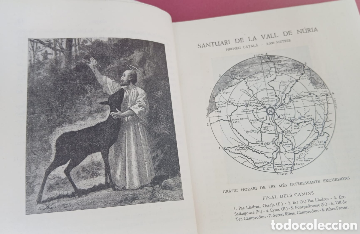 Libros: Hist&ograve;ria del Nuria, Forti&agrave; Sol&aacute; - Foto 4