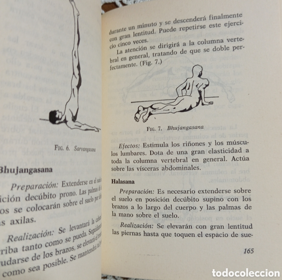 Libros: YOGA REFUGIO Y ESPERANZA - RAMIRO CALLE - Foto 2