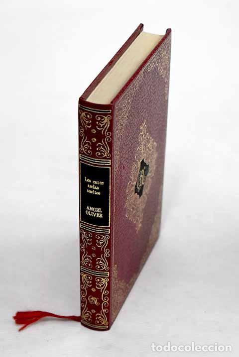 Libros: Los canes andan sueltos.- Oliver, Angel - Foto 1