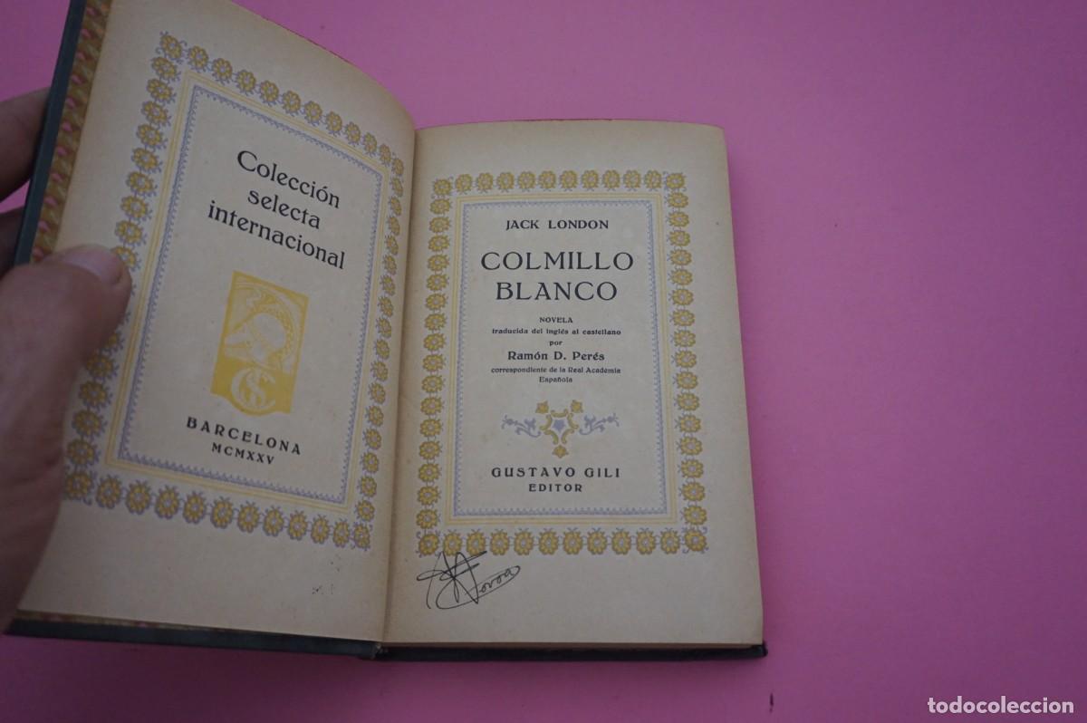 Libros: 2B/ COLMILLO BLANCO - JACK LONDON / GUSTAVO GILI EDITOR - Foto 2
