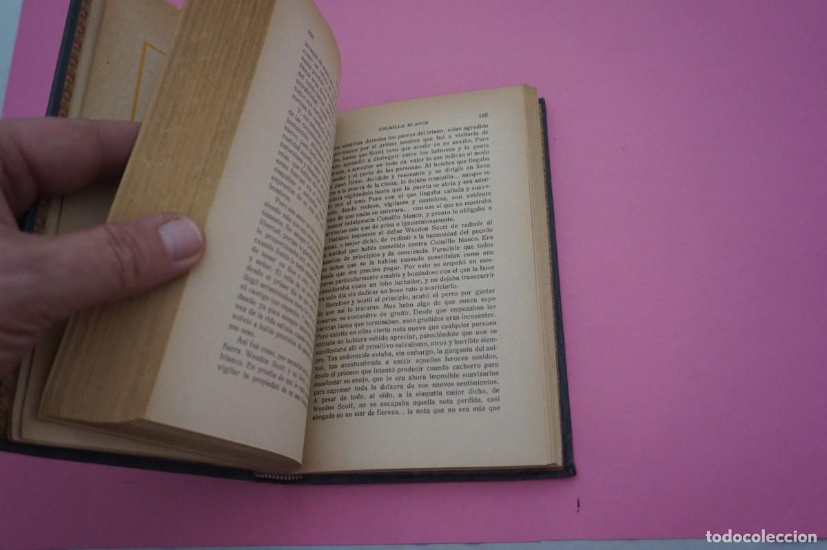 Libros: 2B/ COLMILLO BLANCO - JACK LONDON / GUSTAVO GILI EDITOR - Foto 4