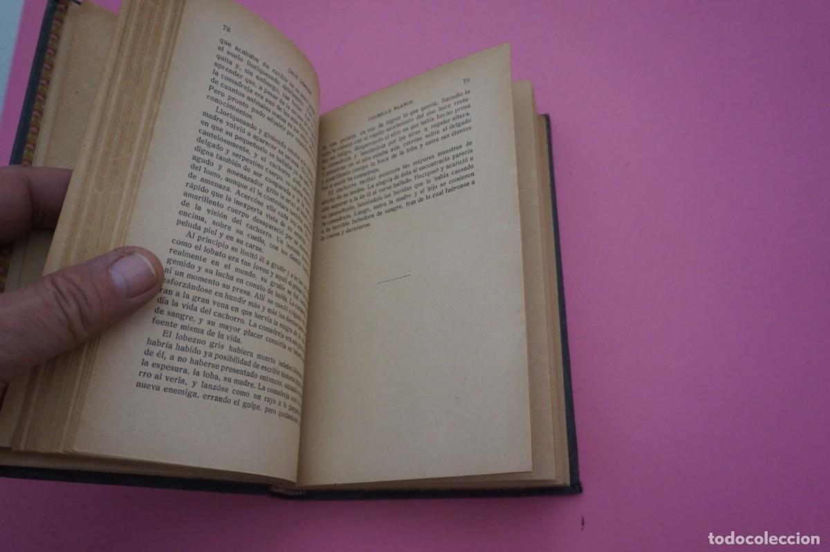 Libros: 2B/ COLMILLO BLANCO - JACK LONDON / GUSTAVO GILI EDITOR - Foto 5