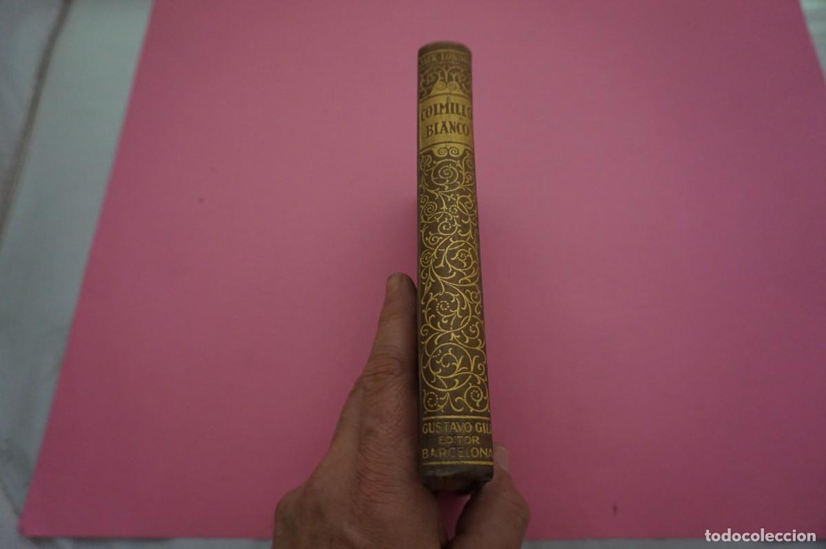 Libros: 2B/ COLMILLO BLANCO - JACK LONDON / GUSTAVO GILI EDITOR - Foto 7