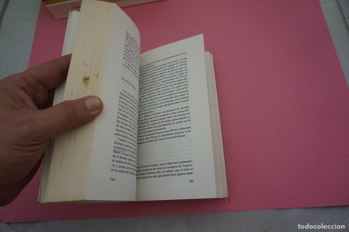 Libros: 15B/ EL HERMANO FRANCISCO - JULIEN GREEN / EDICIONES DESTINO - Foto 4
