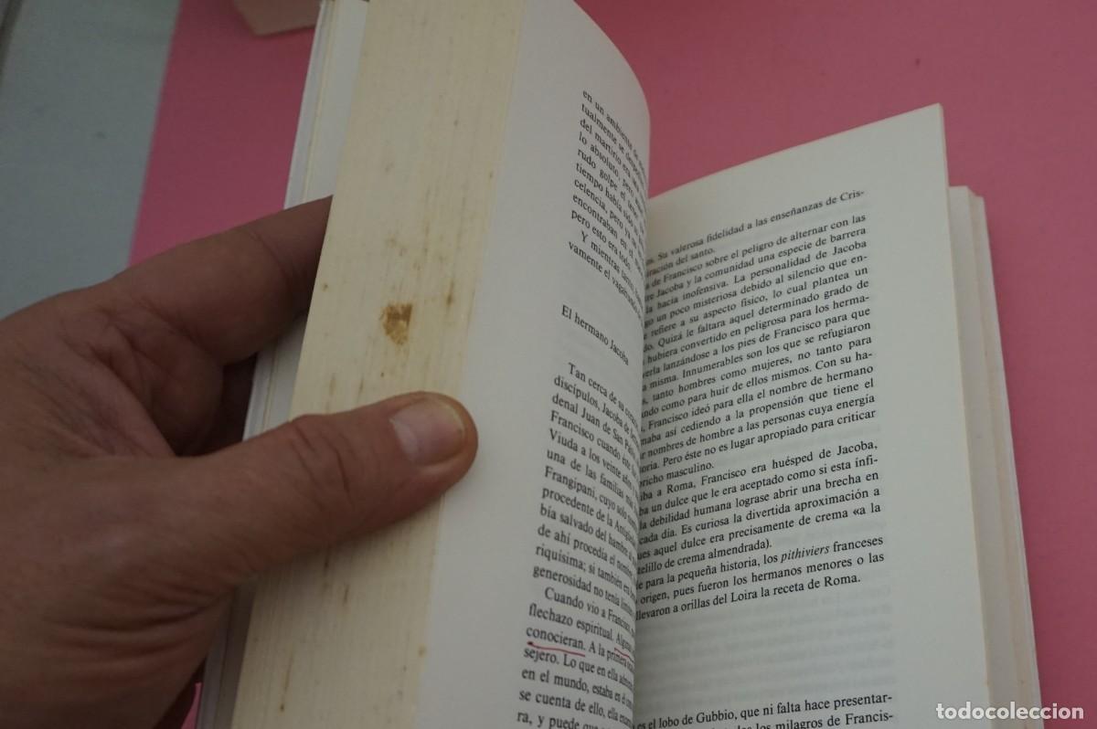 Libros: 15B/ EL HERMANO FRANCISCO - JULIEN GREEN / EDICIONES DESTINO - Foto 5