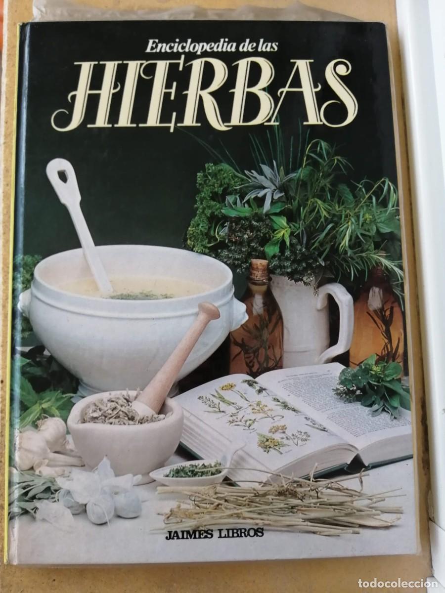 Libros: ENCICLOPEDIA DE LAS HIERBAS (CONTIENE 9 SOBRES INFUSIONES) - Foto 1