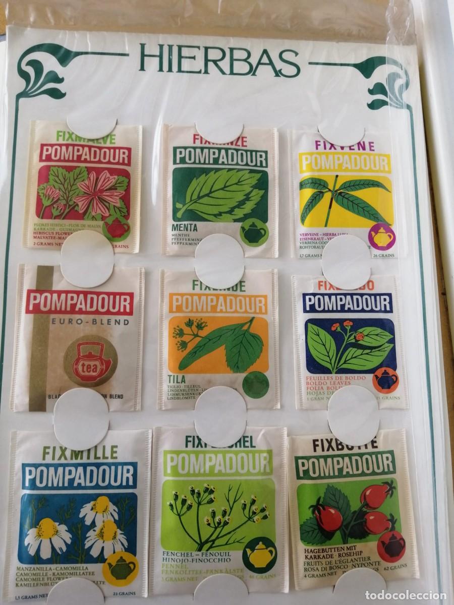 Libros: ENCICLOPEDIA DE LAS HIERBAS (CONTIENE 9 SOBRES INFUSIONES) - Foto 2