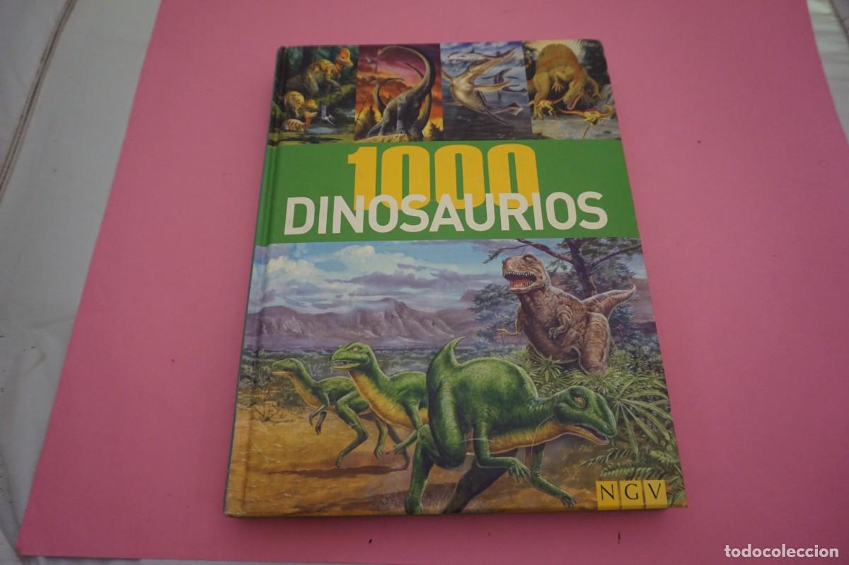 Libros: M4A/ 1000 DINOSAURIOS / NGV - Foto 1