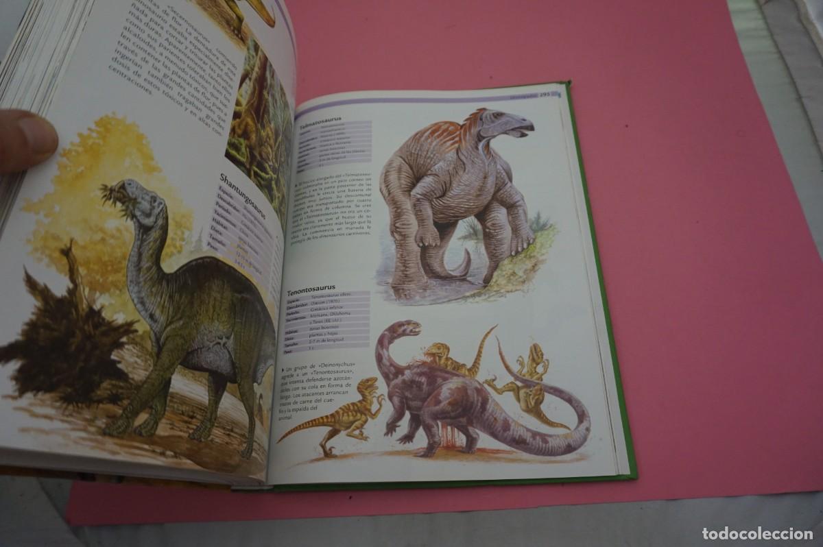 Libros: M4A/ 1000 DINOSAURIOS / NGV - Foto 3