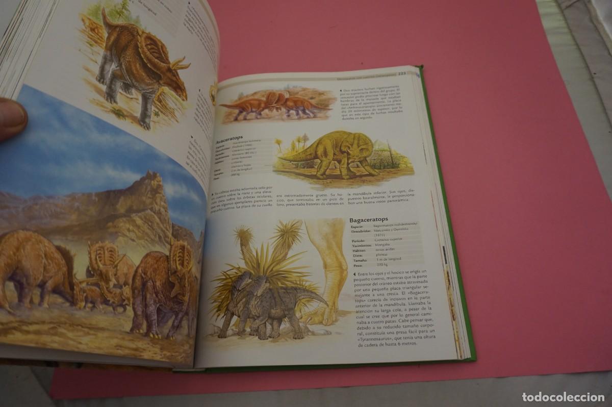 Libros: M4A/ 1000 DINOSAURIOS / NGV - Foto 4