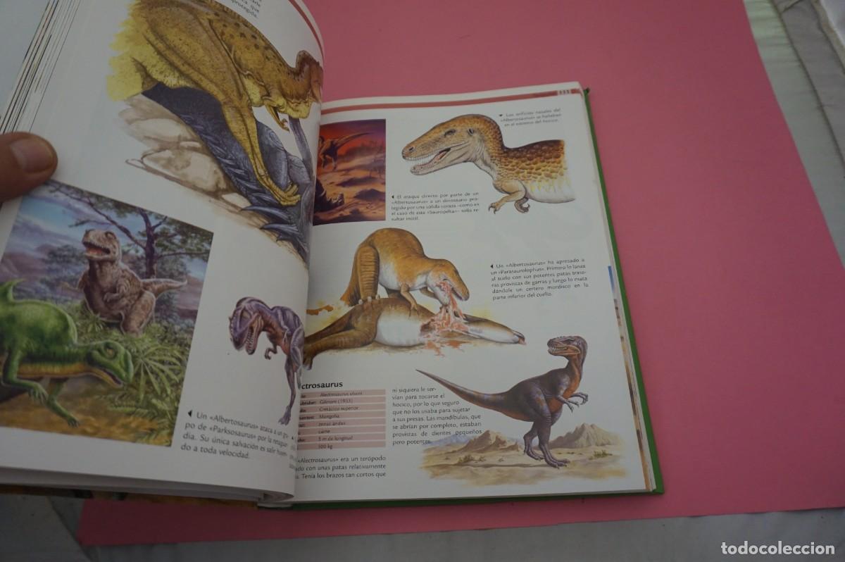 Libros: M4A/ 1000 DINOSAURIOS / NGV - Foto 5