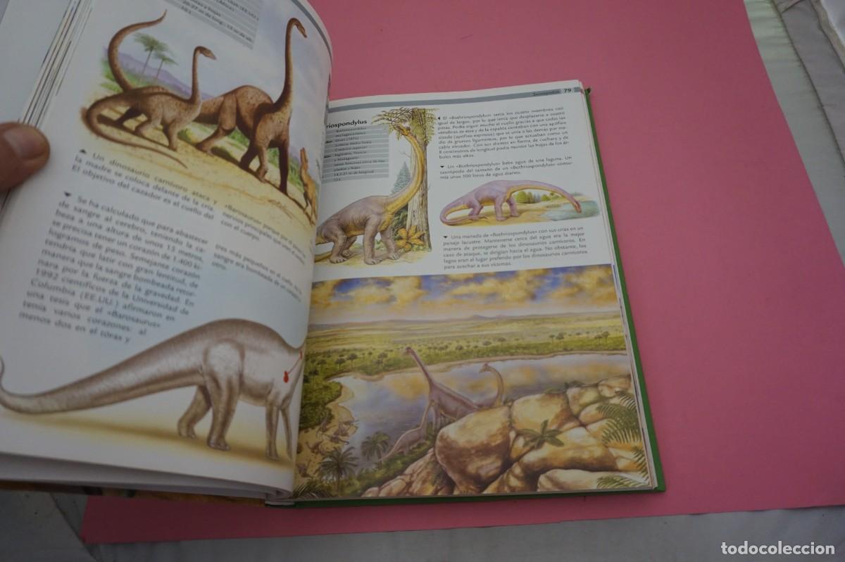 Libros: M4A/ 1000 DINOSAURIOS / NGV - Foto 6