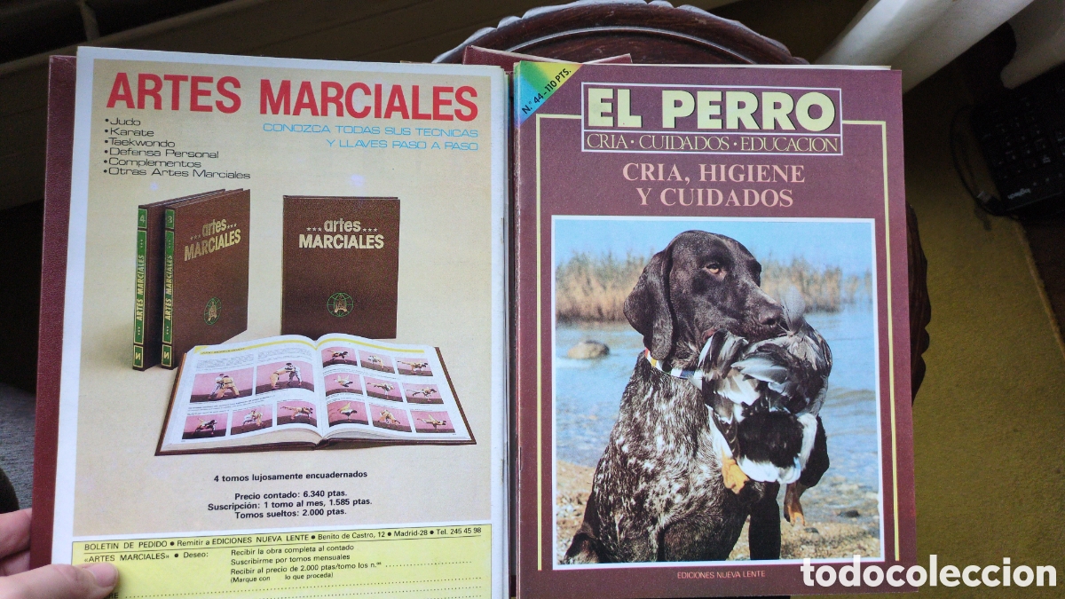 Libros: 4 tomos sin encuadernar el perro - Foto 2