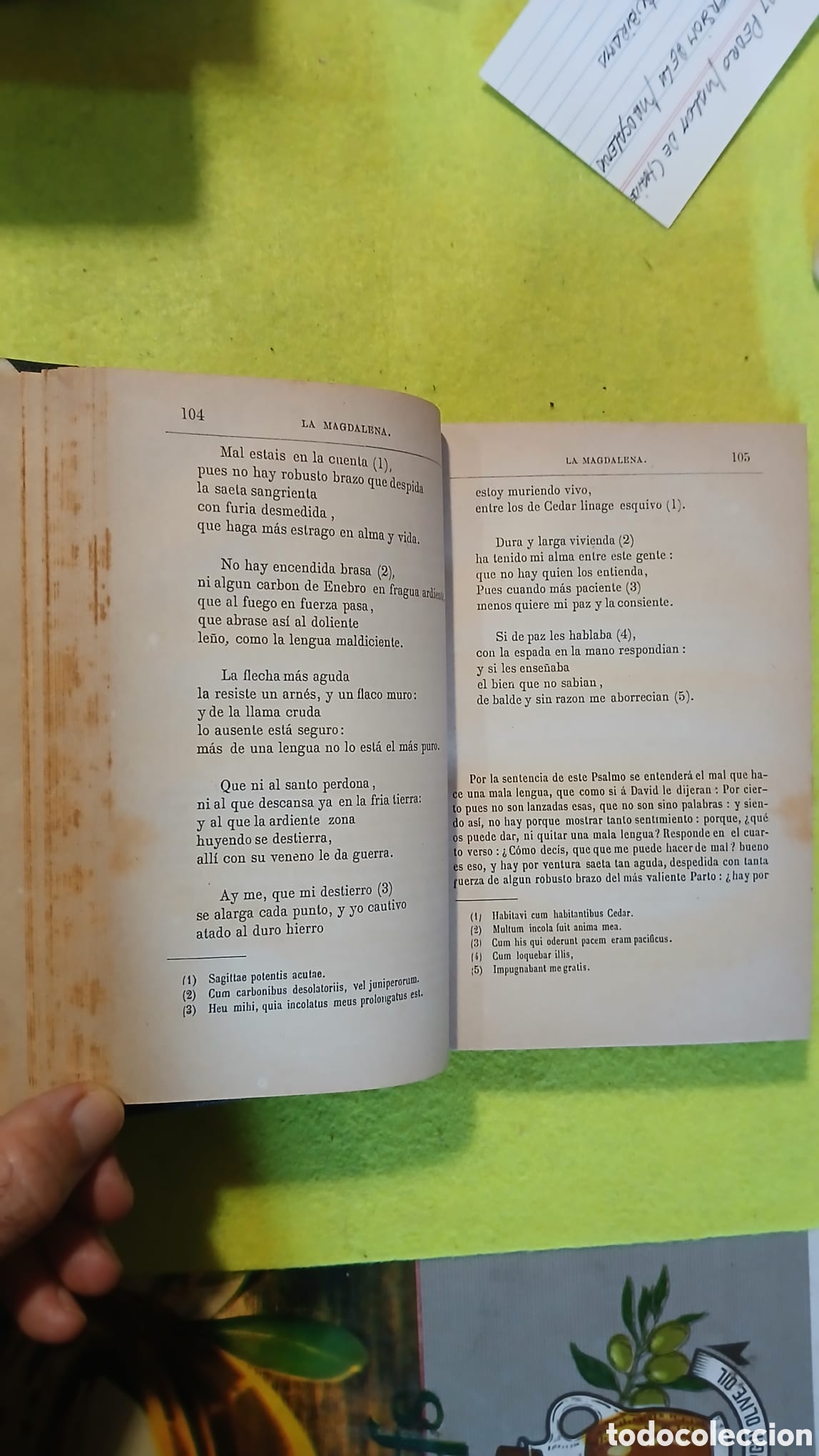 Libros: Conversion de Magdalena - Foto 8