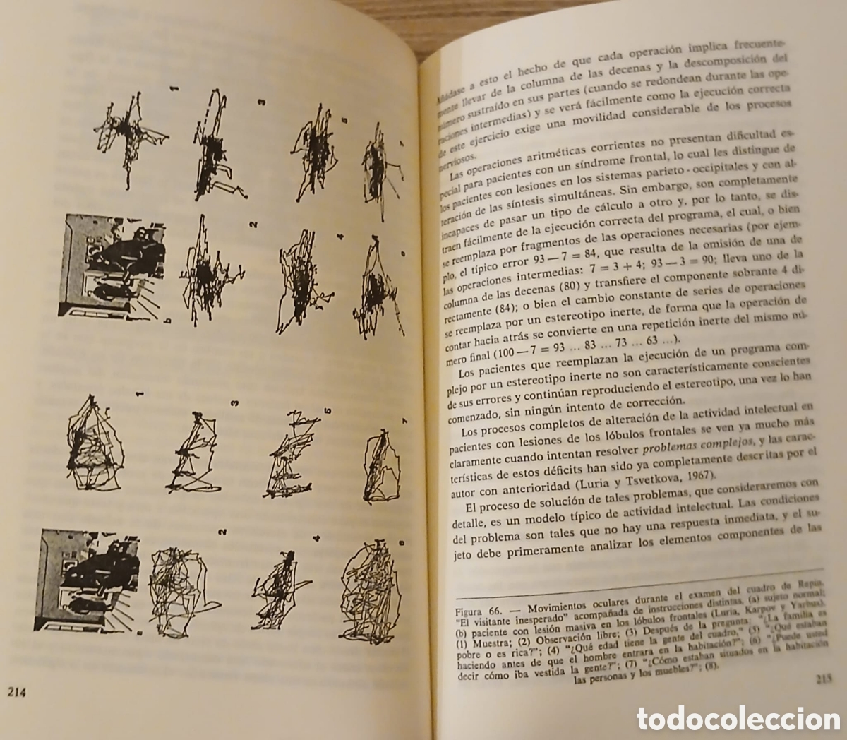 Libros: El cerebro en accion - Foto 6