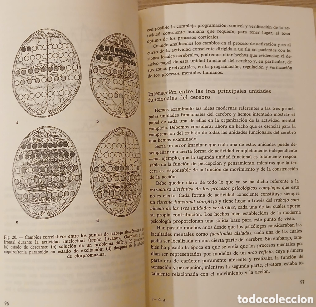 Libros: El cerebro en accion - Foto 7