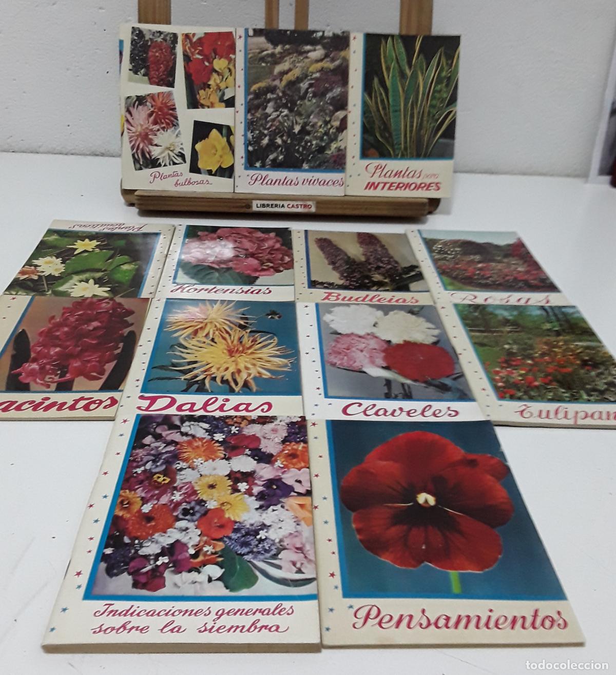 Libros: 13 N&uacute;meros Kanda, La Flor de las Flores. - Varios. - Foto 1