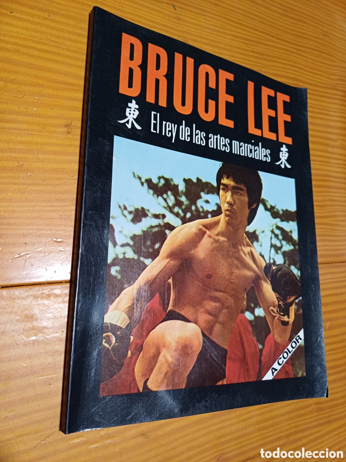 Libros: Bruce Lee El rey de las artes marciales A color - Foto 1