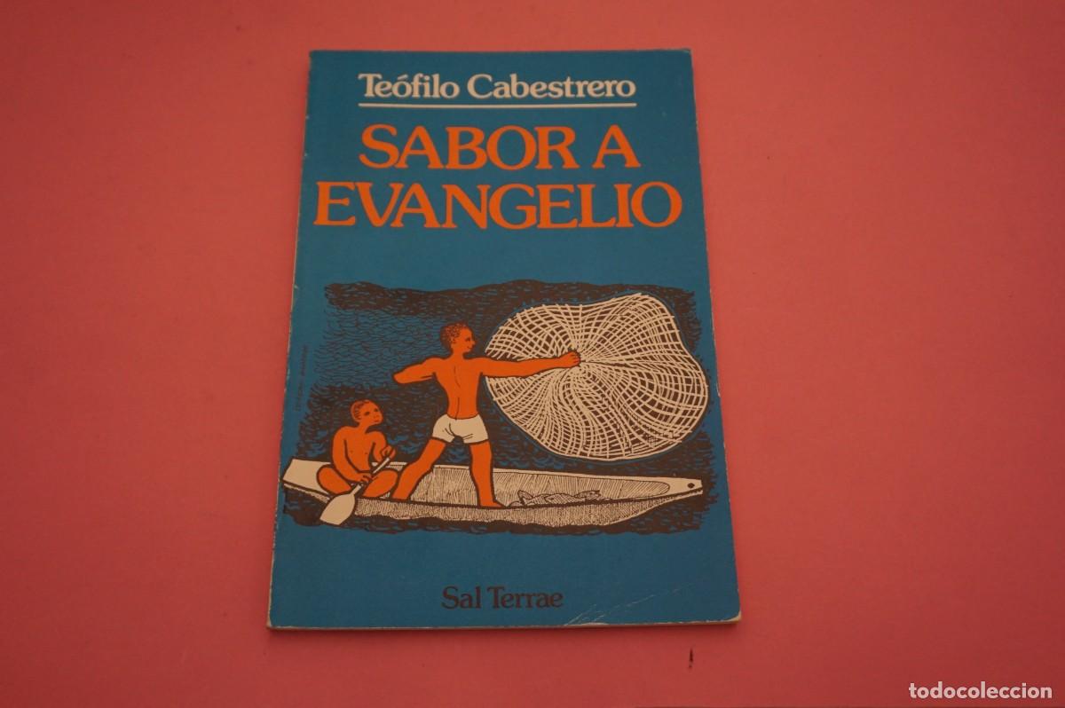 Libros: AR4B- SABOR A EVANGELIO - TEOFILO CABESTRERO - EDITORIAL SAL TERRAE - Foto 1