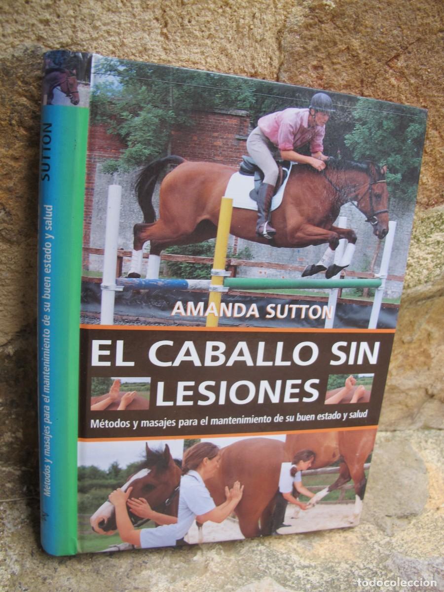 Libros: EL CABALLO SIN LESIONES. AMANDA SUTTON - Foto 1