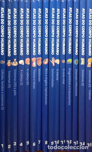 Libros: ATLAS DO CORPO HUMANO. - Foto 3