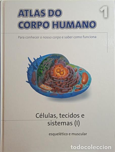 Libros: ATLAS DO CORPO HUMANO. - Foto 1