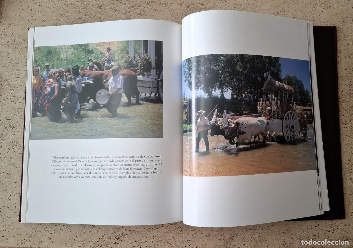 Libros: LIBRO SOBRE LA ROMERIA DEL ROCIO- - Foto 6