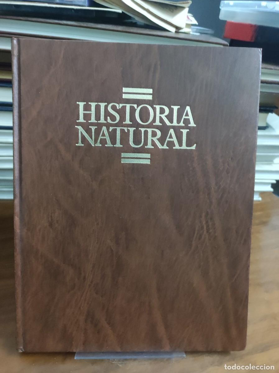 Libros: HISTORIA NATURAL TOMO 4 - Foto 1
