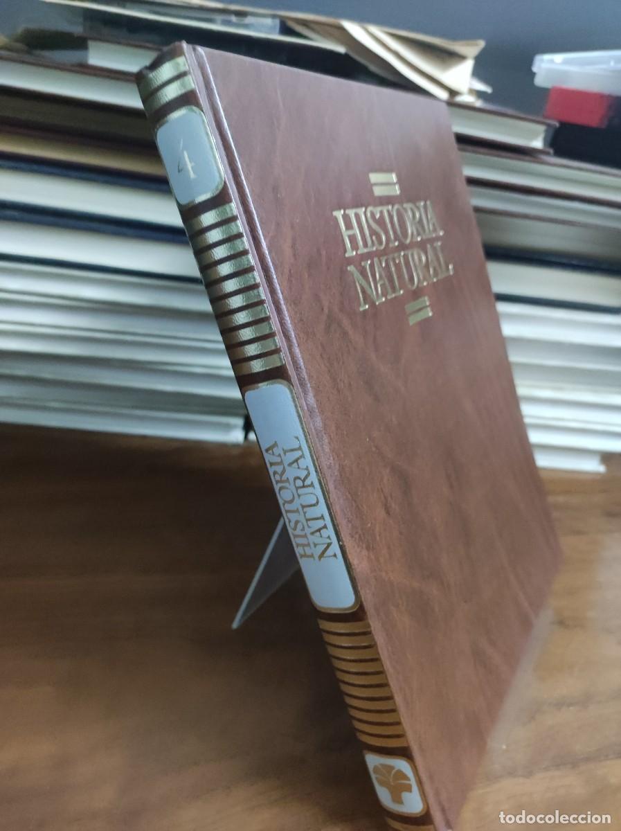 Libros: HISTORIA NATURAL TOMO 4 - Foto 2