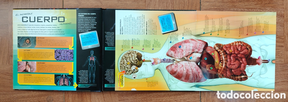Libros: El Incre&iacute;ble Cuerpo Humano � Everest - VV. AA. - Foto 3