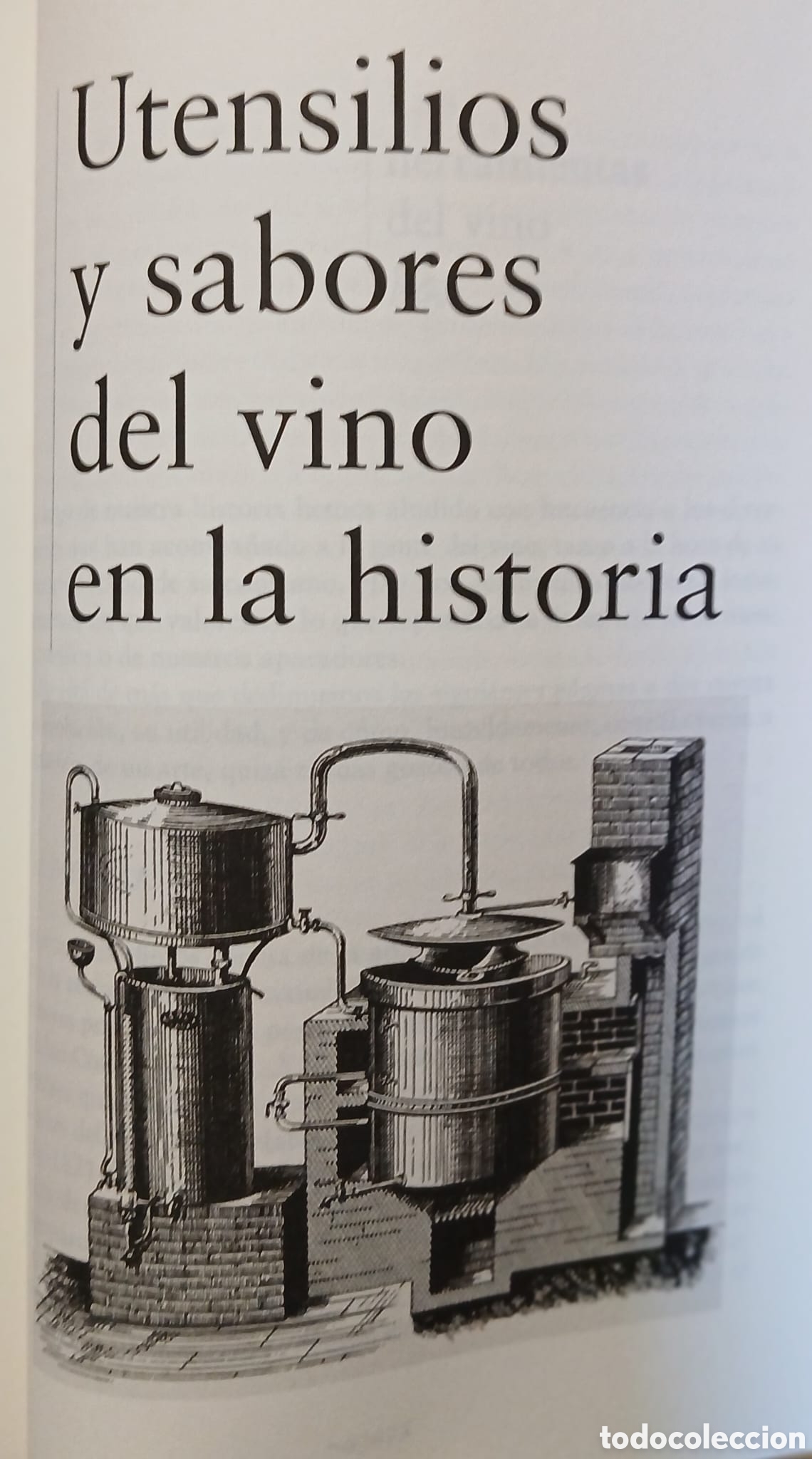 Libros: Historia del vino, Jos&eacute; Pe&ntilde;in - Foto 9