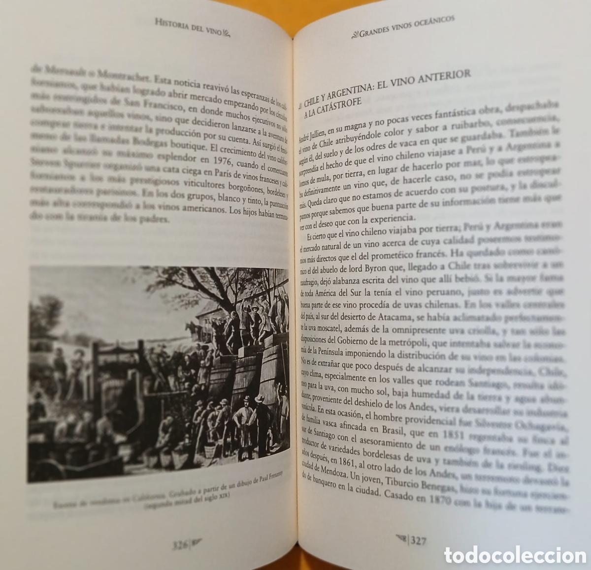 Libros: Historia del vino, Jos&eacute; Pe&ntilde;in - Foto 13