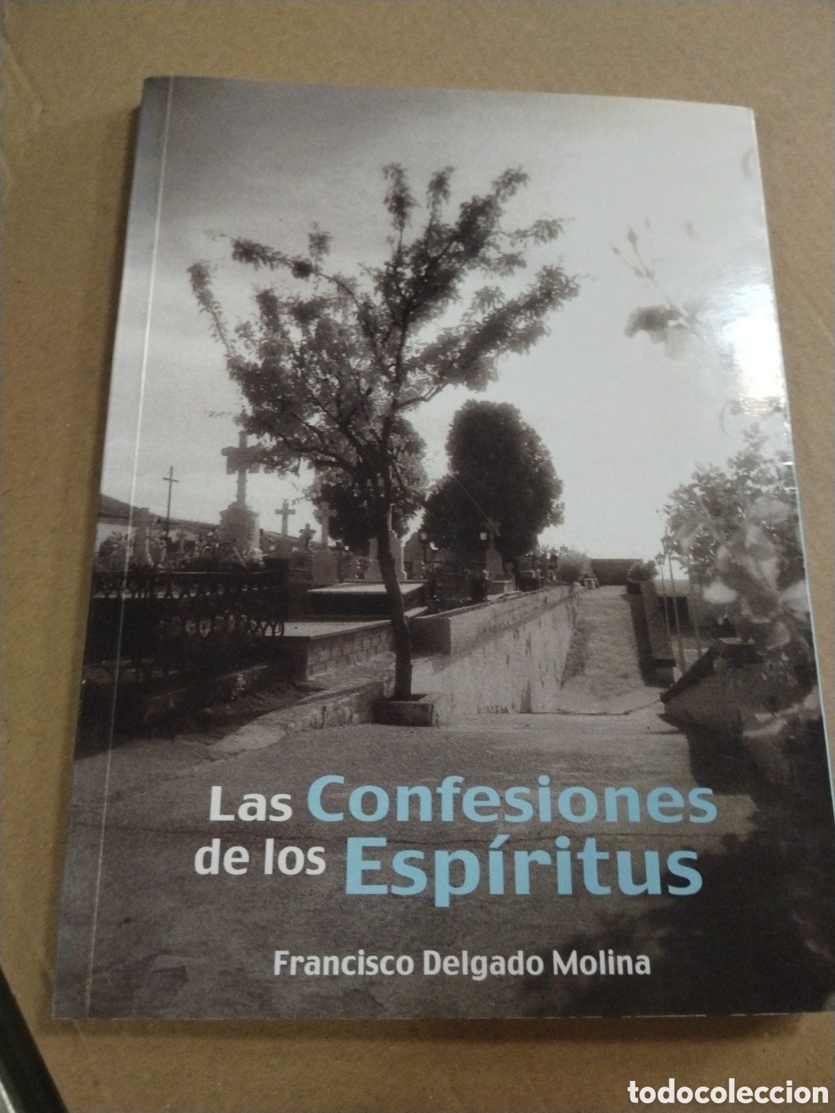 Libros: Las confesiones de los Esp&iacute;ritus. Francisco Delgado Molina. - Foto 1