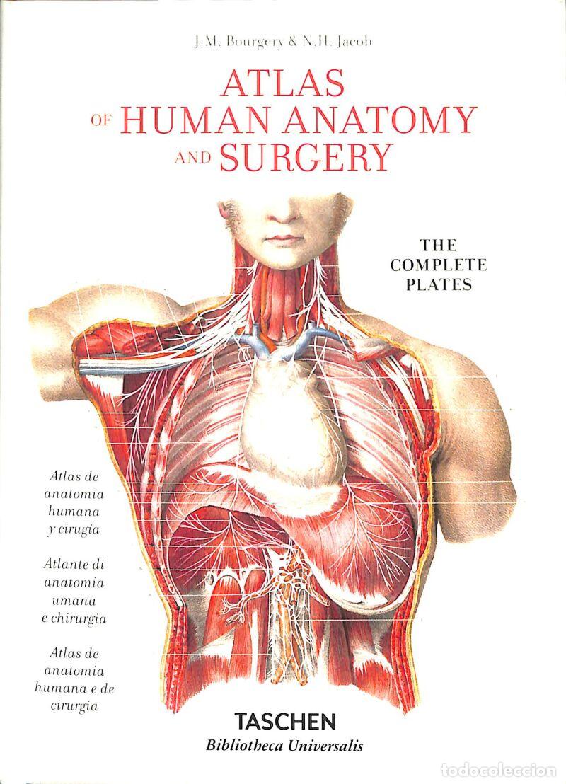 Libros: Bourgery. Atlas De Anatom&iacute;a Humana Y Cirug&iacute;a - Henri Sick / Jean-Marie Le Minor - TASCHEN -