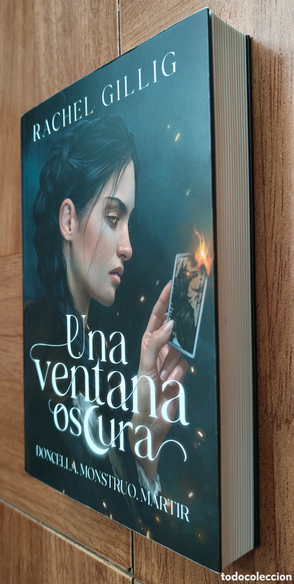 Libros: Una Ventana Oscura - Monogatari - Rachel Gillig - Foto 2