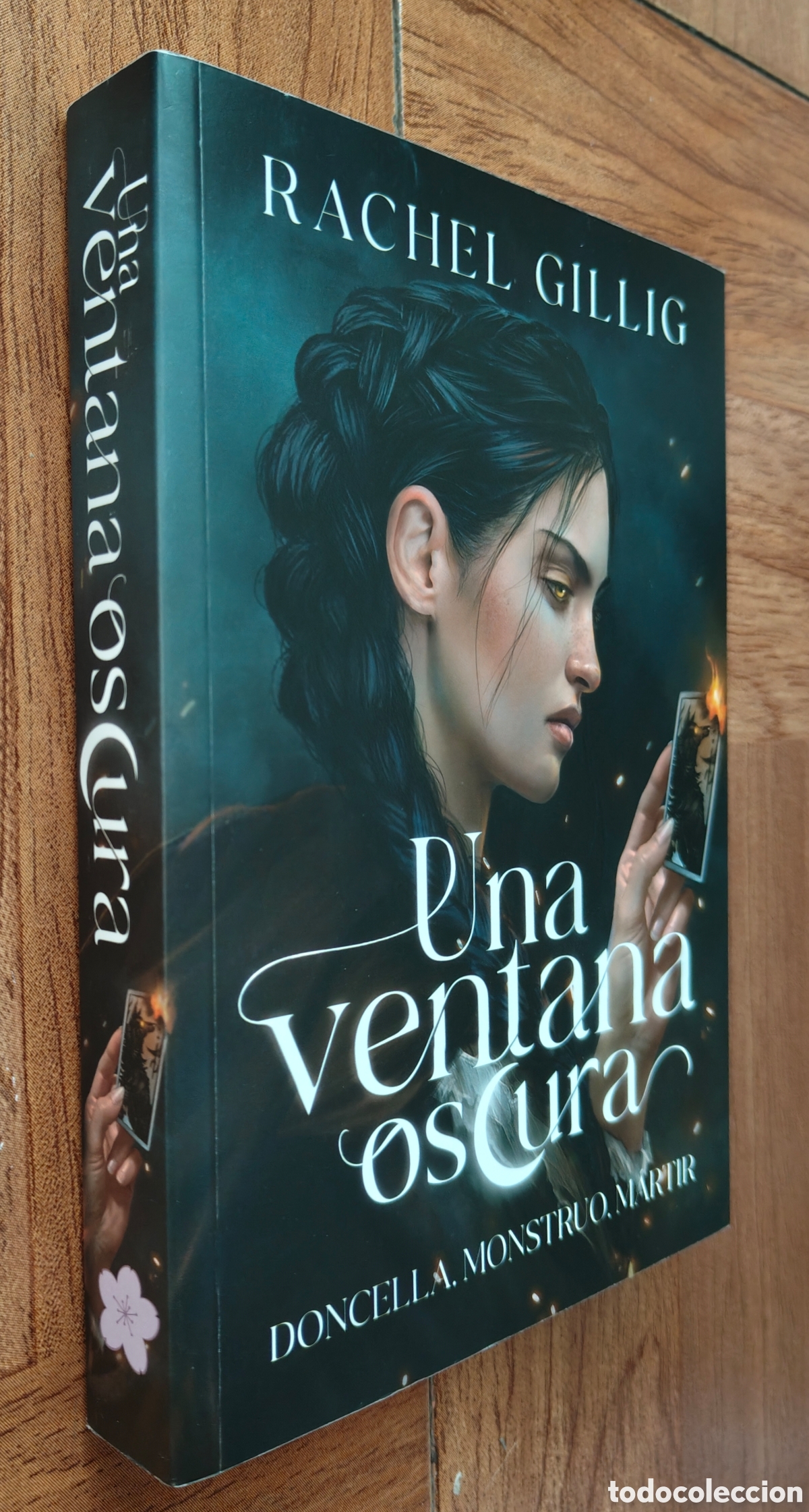 Libri di seconda mano: Una Ventana Oscura - Monogatari - Rachel Gillig