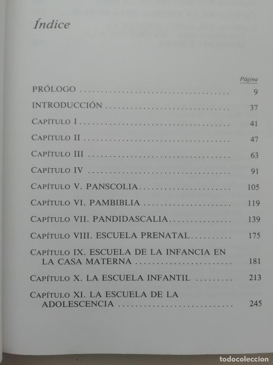 Libros: Pampedia - Comenius - uned - Foto 2