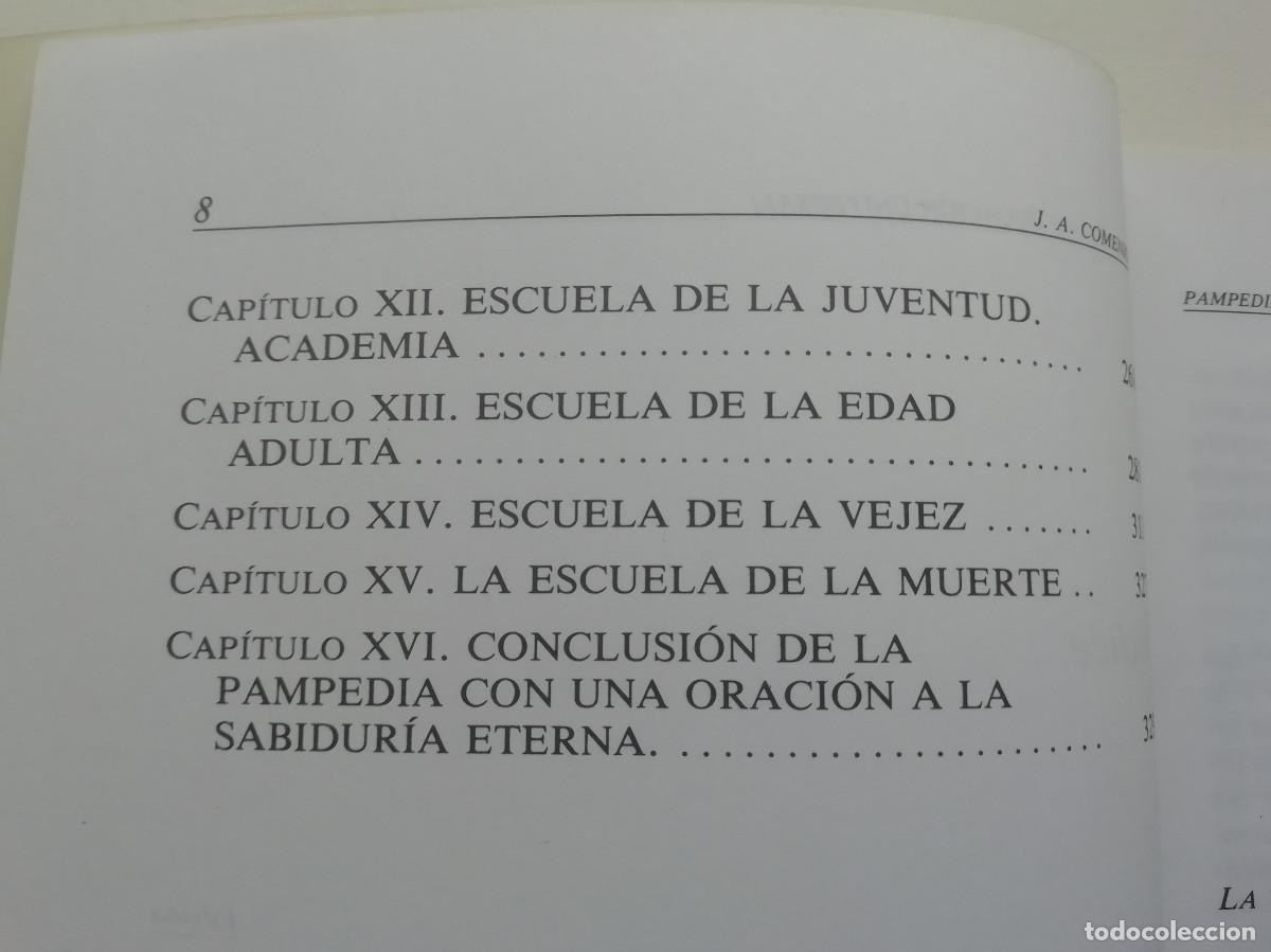 Libros: Pampedia - Comenius - uned - Foto 3