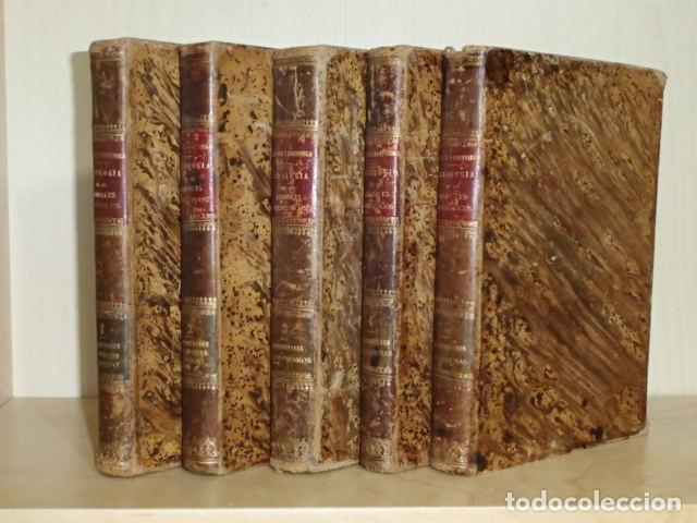 Livres: PATOLOG&Iacute;A ESPECIAL DE LOS ANIMALES DOM&Eacute;STICOS - 5 tomos - Iglesia, Rom&aacute;n de la - Mateo Arciniega - P