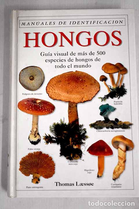 Libros: Hongos : manual de identificaci&oacute;n.- Laessoe, Thomas - Foto 1