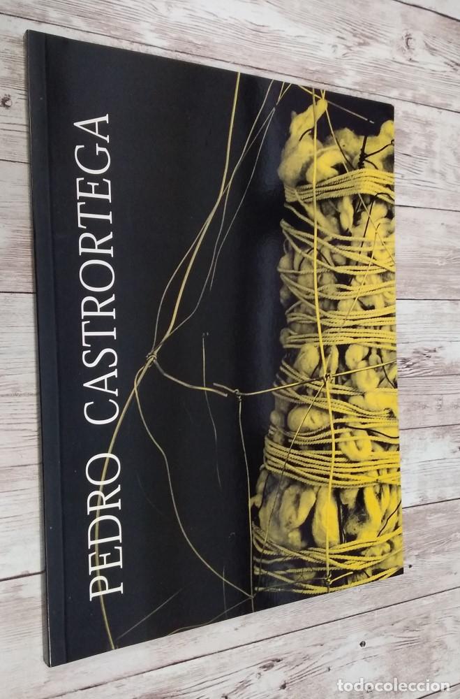 Libros: Pedro Castrortega (como NUEVO, cat&aacute;logo) - Foto 1