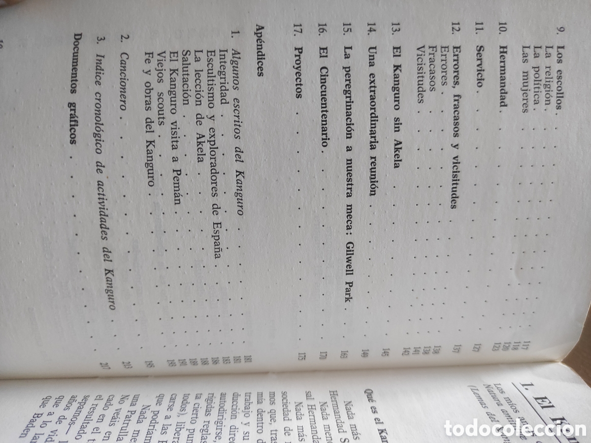 Libros: LA SAGA DEL KANGURO - AUTORES VARIOS - edeb&eacute; - Foto 5