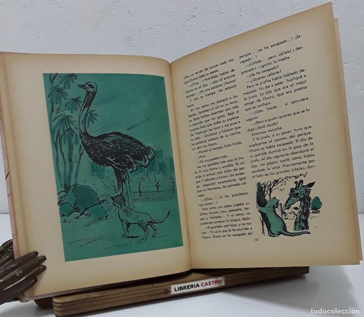 Libros: El gato verde. Cuento Infantil - Ren&eacute; Guillot. - Foto 2