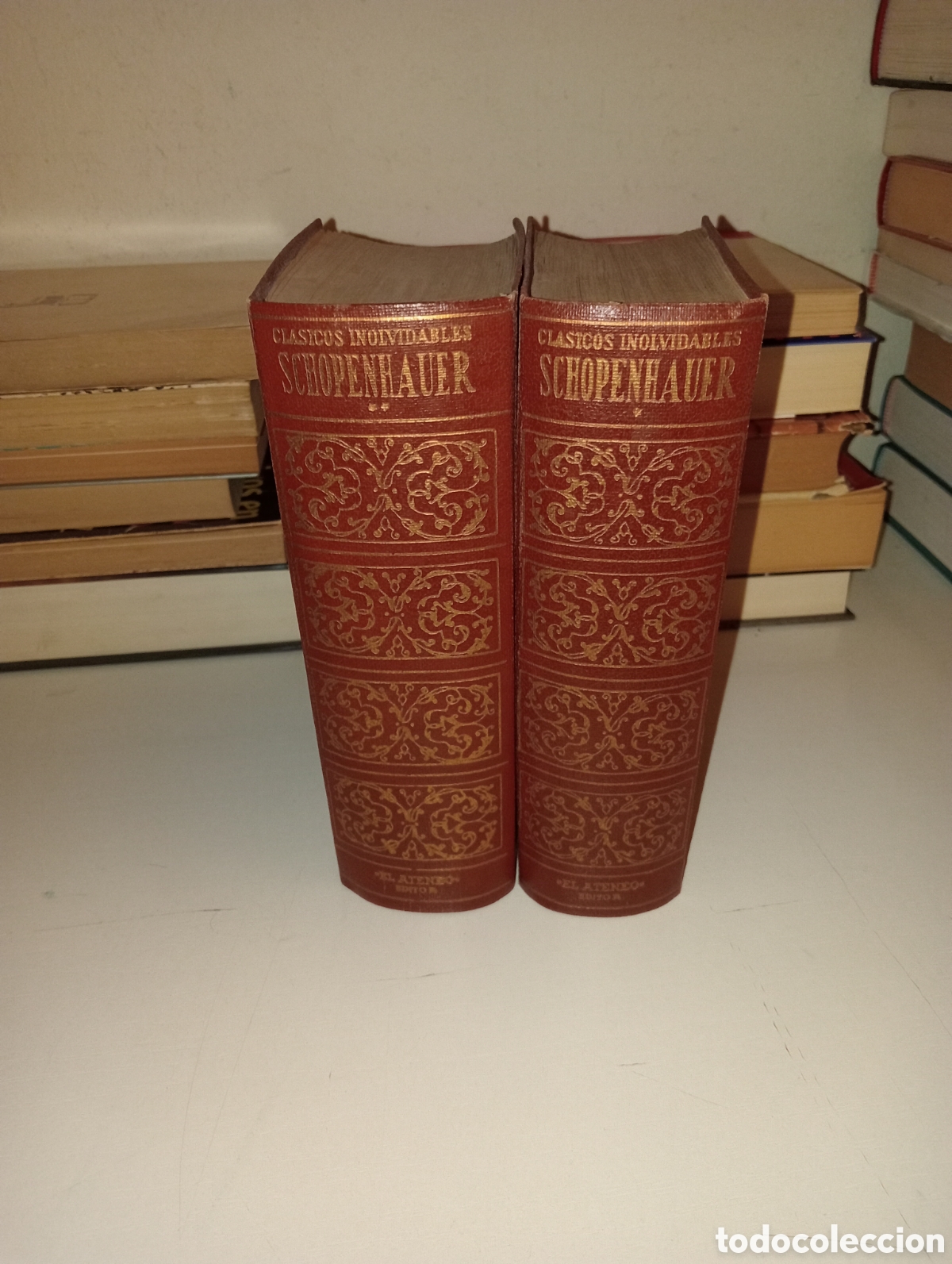 Libros: Schopenhauer. Cl&aacute;sicos inolvidables - Foto 1