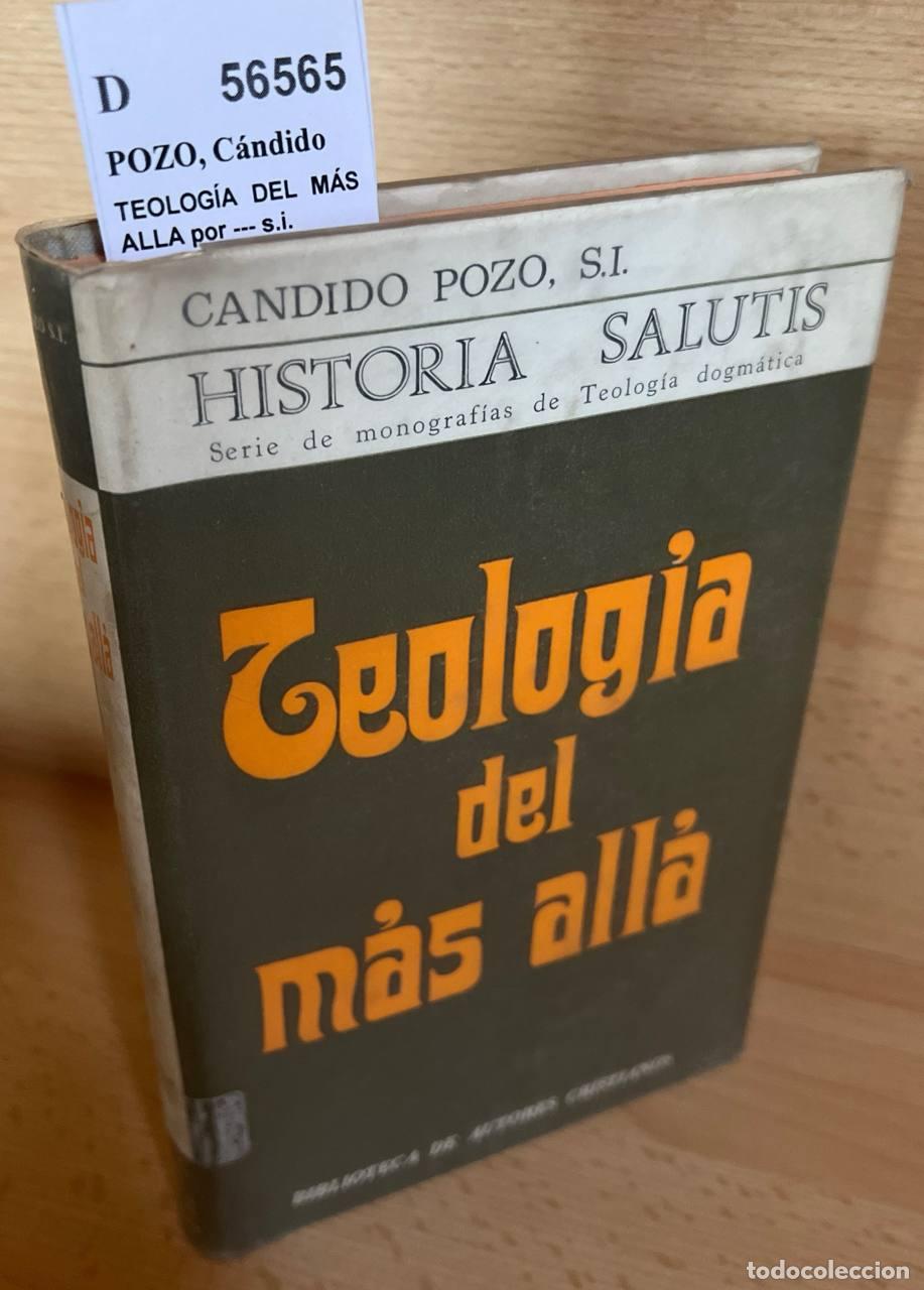 Libros: POZO, C&aacute;ndido - TEOLOG&Iacute;A DEL M&Aacute;S ALLA por --- s.i.
