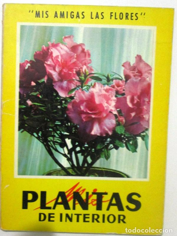 Libros: s.a. - MIS PLANTAS DE INTERIOR - Foto 1
