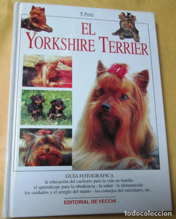 Libros: PESCE, Paola - EL YORKSHIRE TERRIER - Foto 1